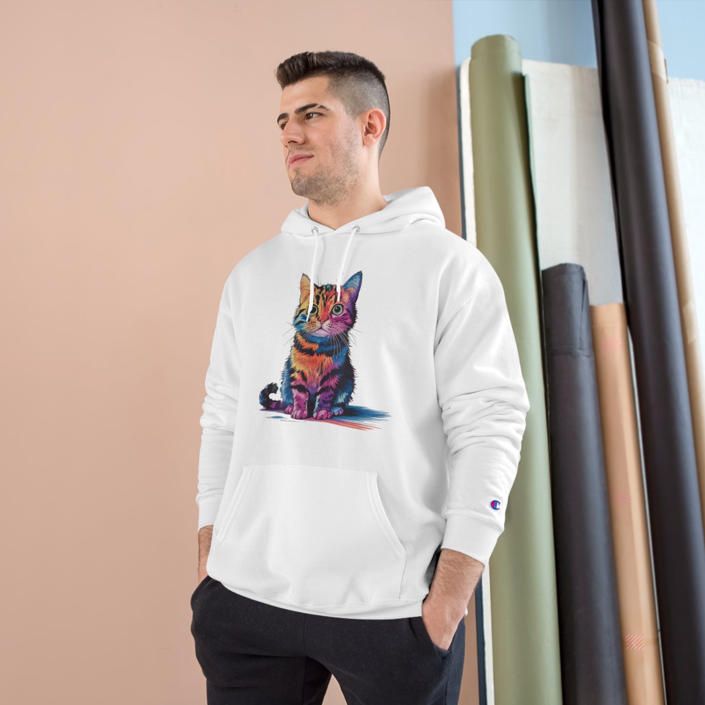 Colorful Cat Champion Hoodie - Perfect Gift for Pet Lovers!