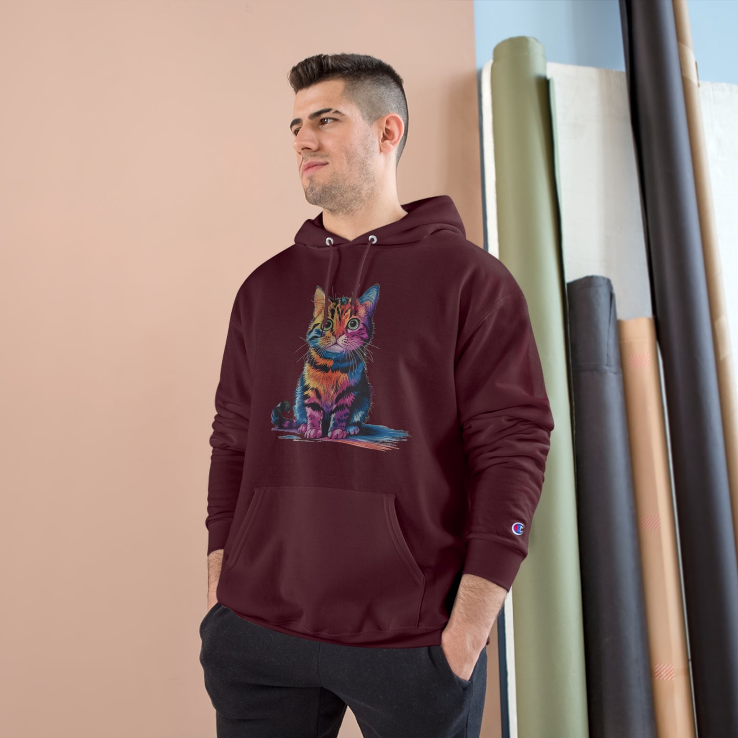 Colorful Cat Champion Hoodie - Perfect Gift for Pet Lovers!