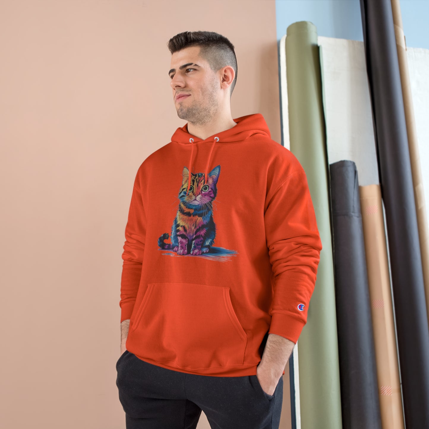 Colorful Cat Champion Hoodie - Perfect Gift for Pet Lovers!