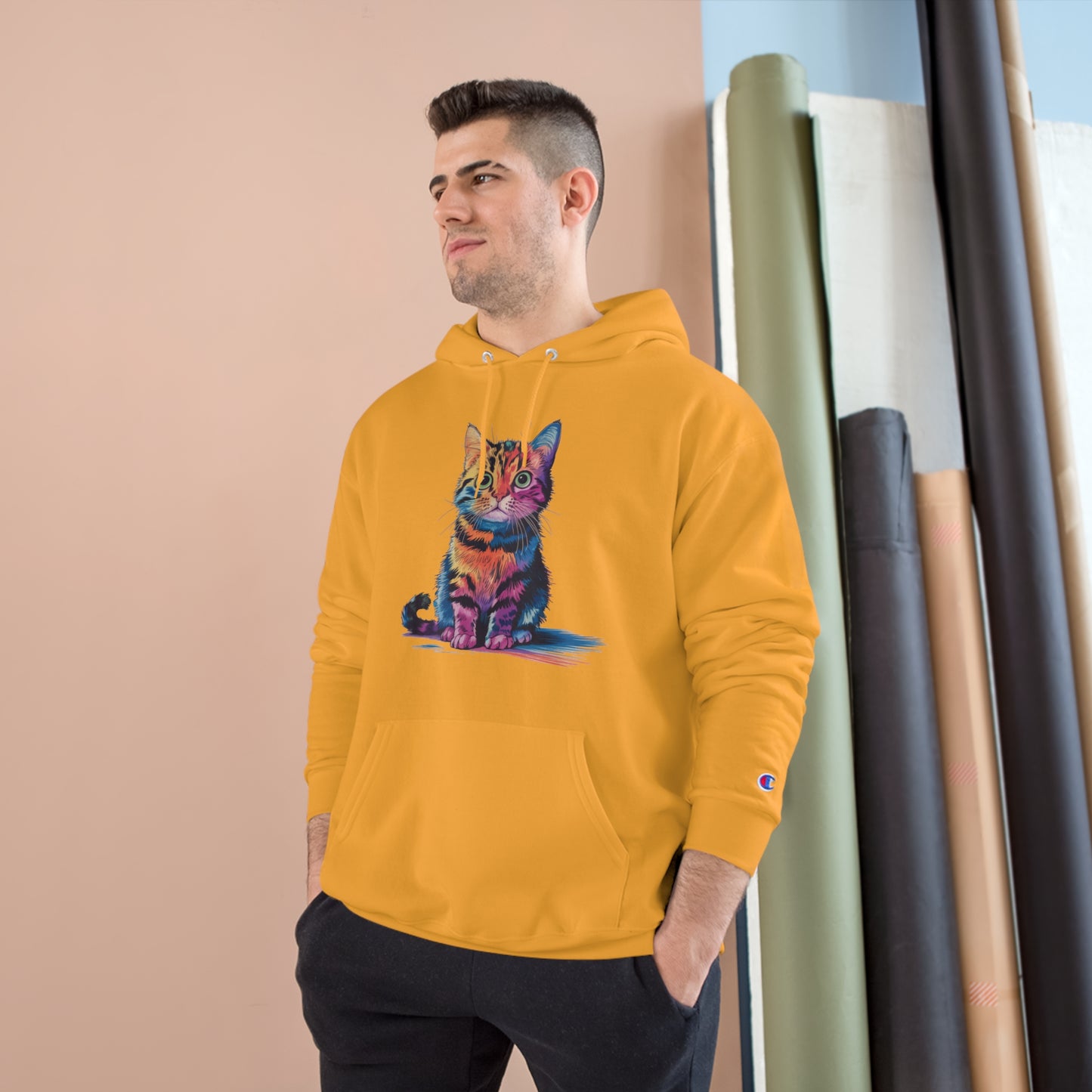 Colorful Cat Champion Hoodie - Perfect Gift for Pet Lovers!