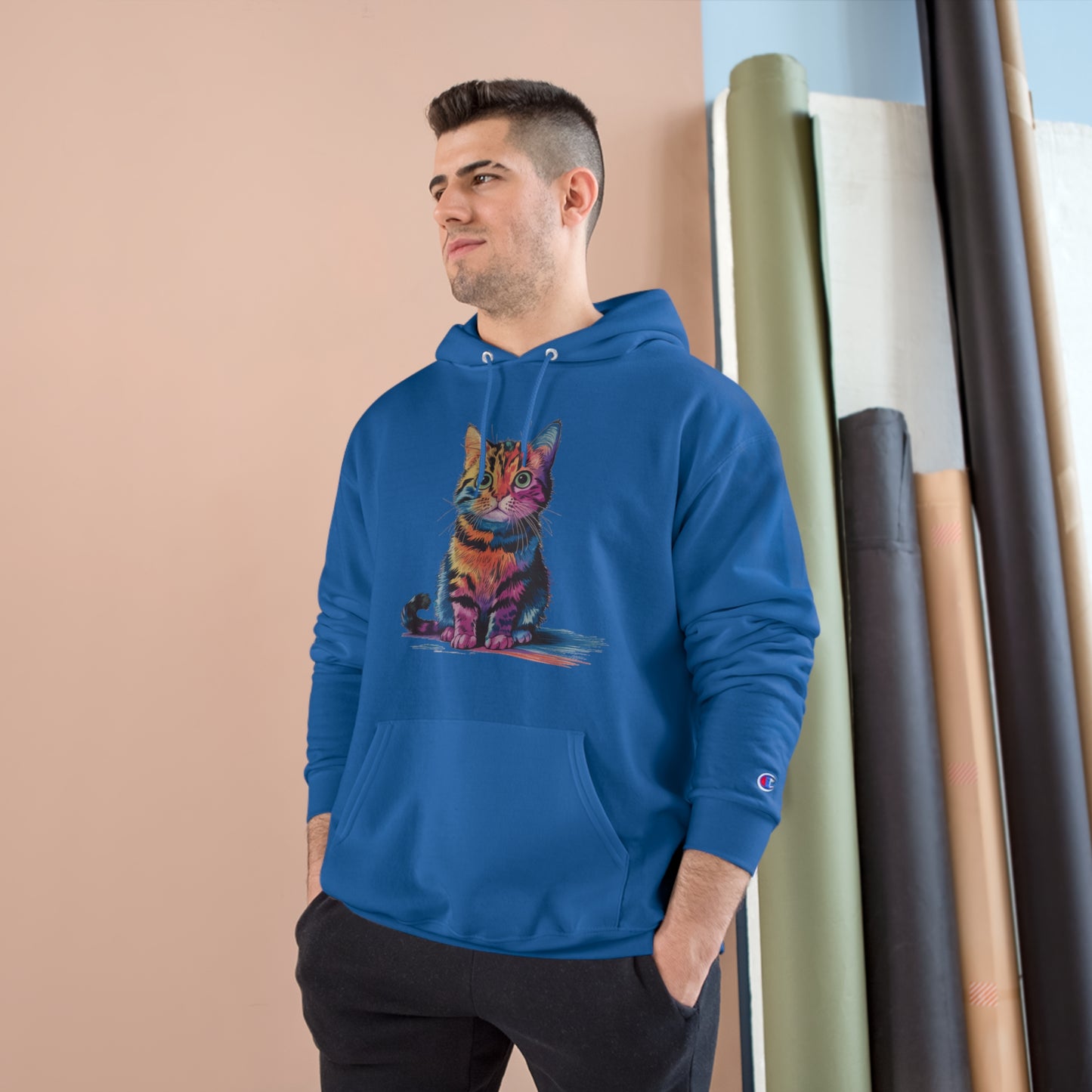 Colorful Cat Champion Hoodie - Perfect Gift for Pet Lovers!